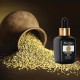 FENNEL OIL
