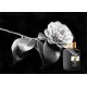 CAMELLIA OIL