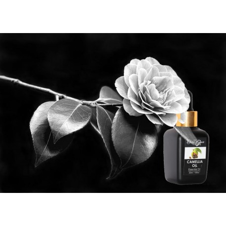 CAMELLIA OIL