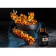SEA BUCKTHORN OIL