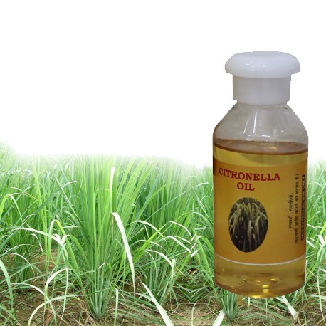 Citronella Oil